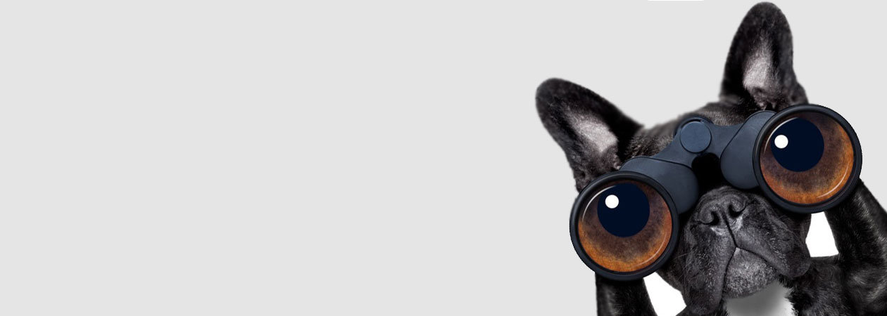 Suchmaschinenoptimierung